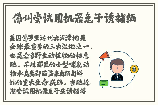 姐姐说想做可以找她